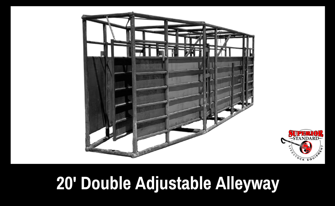 20' Double Adjustable Alleyway
